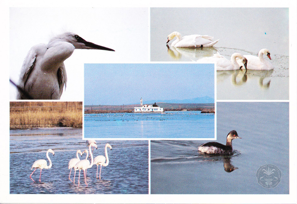 Πόρτο-Λάγος / Άγιος Νικόλαος